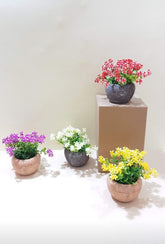 Mini flower pots